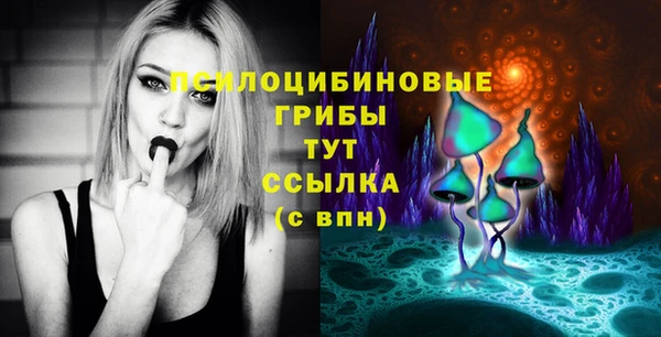 a pvp Михайловск