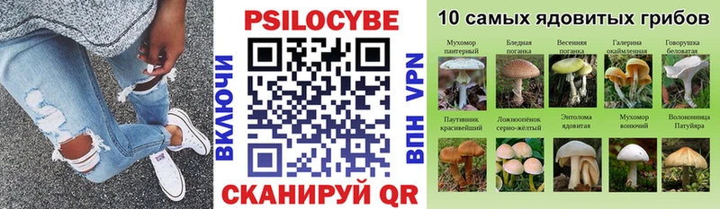Псилоцибиновые грибы мицелий  цена наркотик  Белорецк 