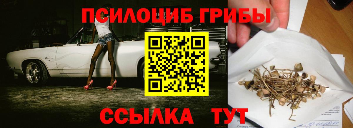 Псилоцибиновые грибы MAGIC MUSHROOMS Белорецк
