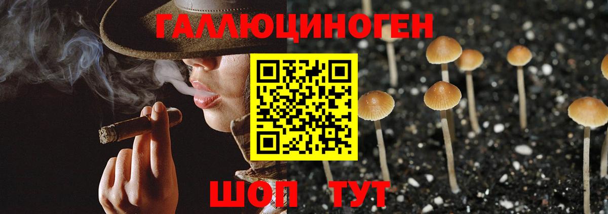 Псилоцибиновые грибы мухоморы  Псилоцибиновые грибы прущие грибы  Белорецк 