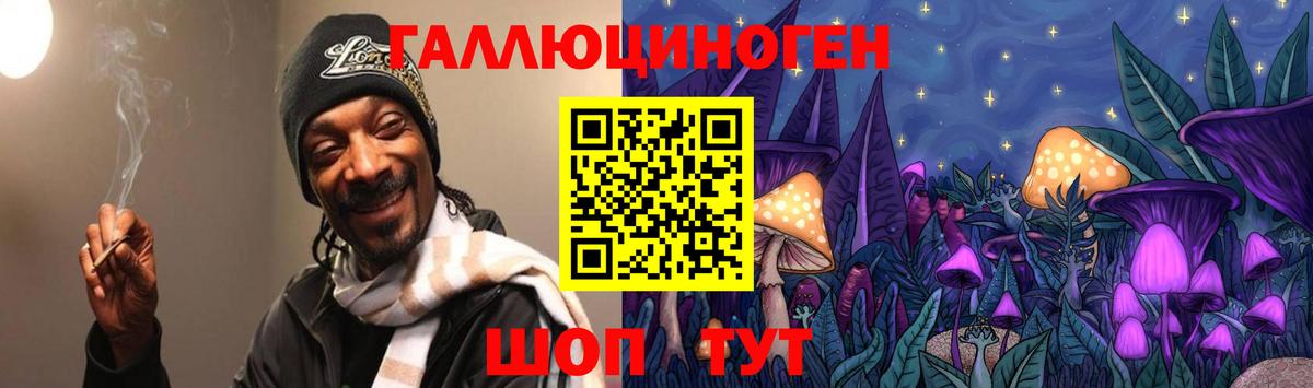 Галлюциногенные грибы Psilocybine cubensis Белорецк